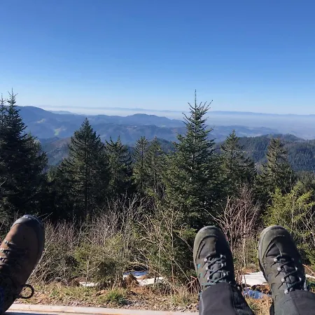 Bergstern * Freudenstadt