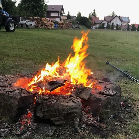 Holiday home Bergstern Freudenstadt