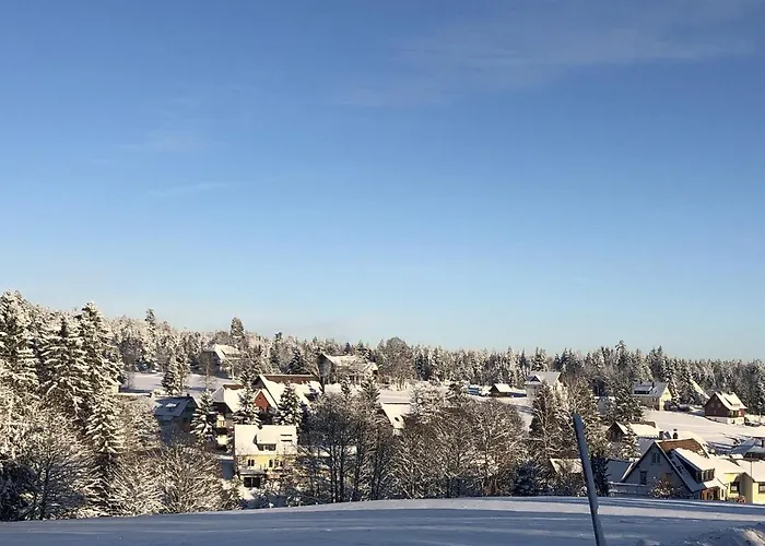 Dom wakacyjny Bergstern