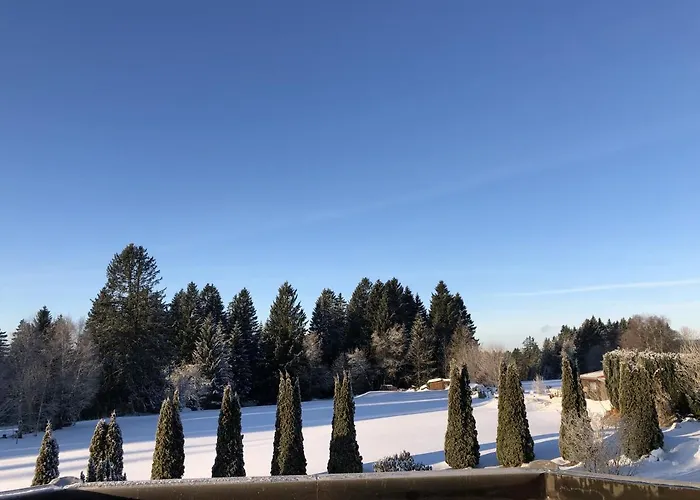 Bergstern * Φρόιντενσταντ