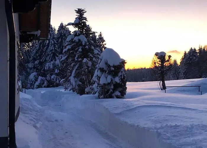Σπίτι διακοπών Bergstern Φρόιντενσταντ