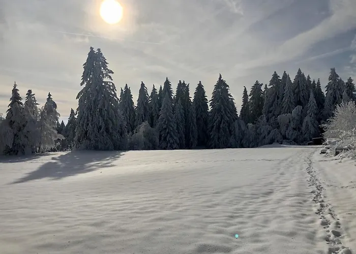 Bergstern Σπίτι διακοπών *