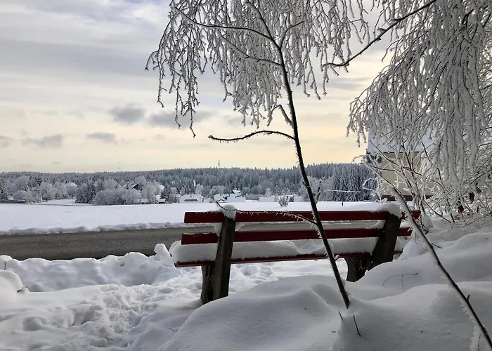 Bergstern Φρόιντενσταντ